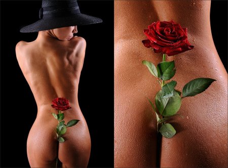 Попа с розой