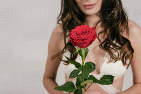 Фото с розами девушки