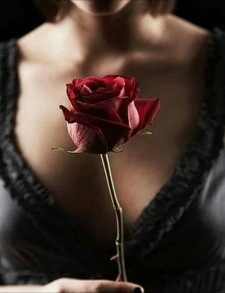 Девушка с розгой в руке