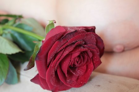 Женский бутон