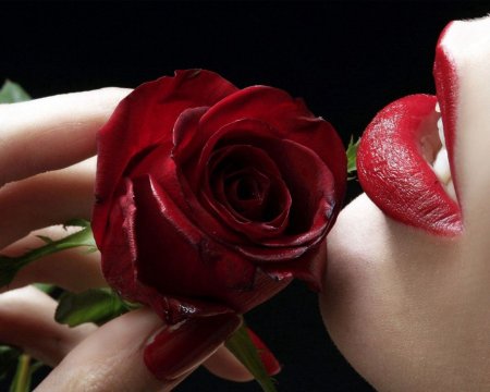 Поцелуй розы