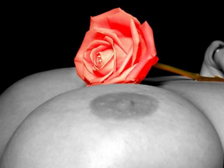 Фотосессия голой с розой