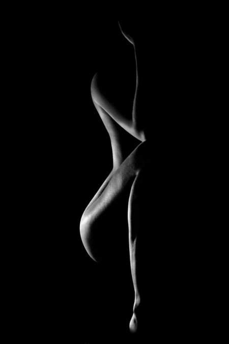 Красивый женский силуэт