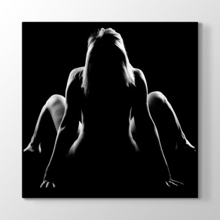 Силуэт женского тела