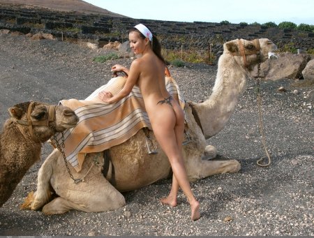 Голая фотосессия с верблюдом