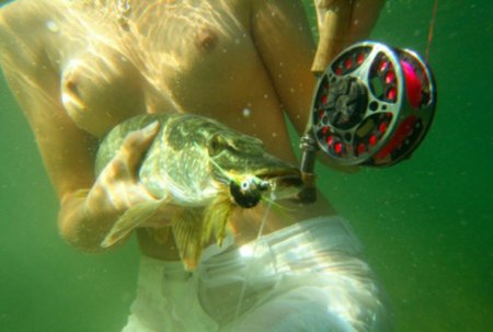 С днем рыболова эротические картинки