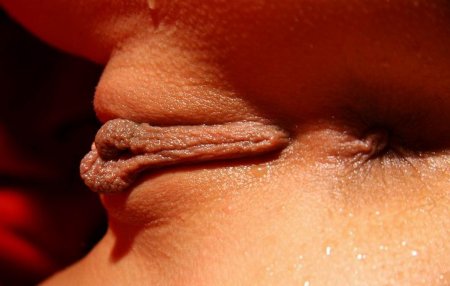 Женские прелести крупным планом