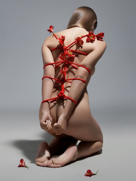 Aaron MCPOLIN шибари