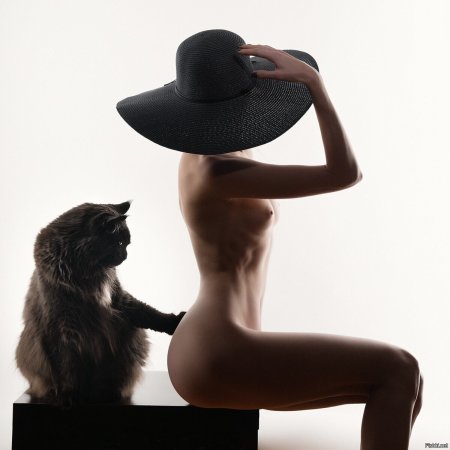 Девушки в кошачьей позе в стиле ню