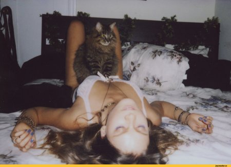 Фото такие дела с девушкой и котом