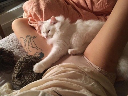 Красивые киски красивых девушек