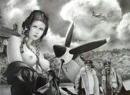 Голая американская летчица