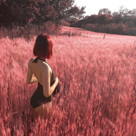 Девушка с каре со спины брюнетка