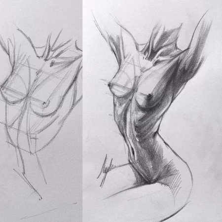 Эскиз голого женского тела