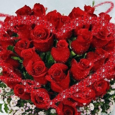 Шикарный букет роз