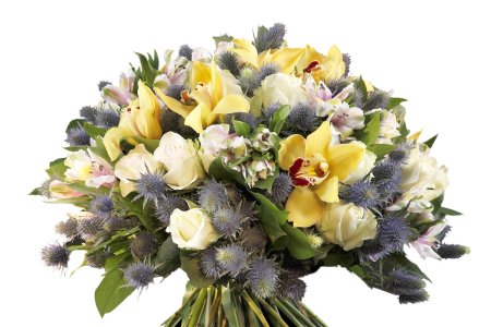 Пинк даймэшен и Казанова в букете