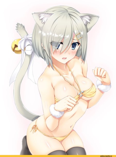 Аниме девочки с ушками хентай