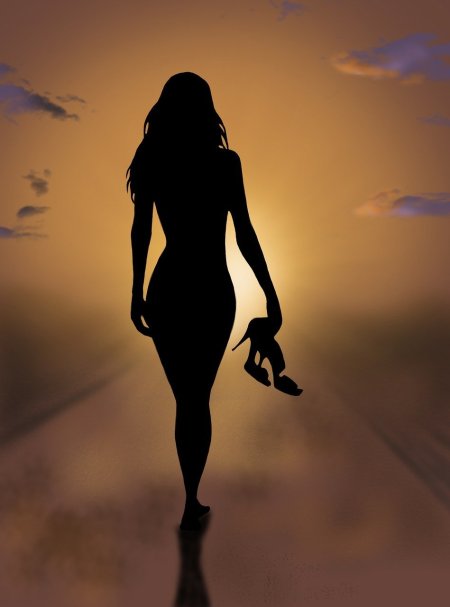 Красивый женский силуэт