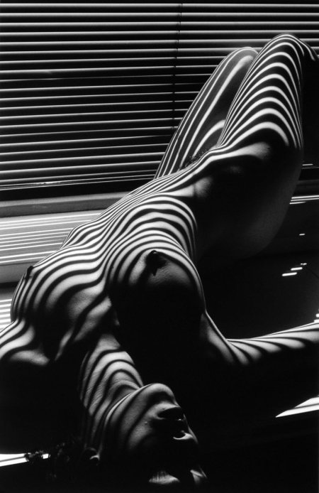 Женская Нагота Эстетика