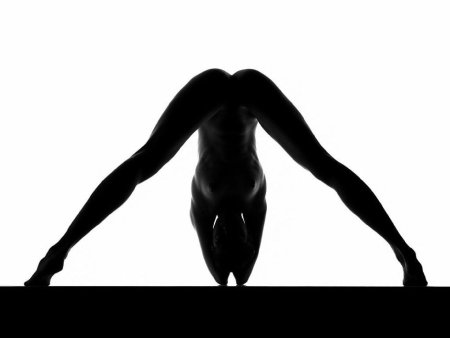 Силуэт голой женщины