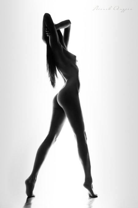 Стройные ню девушки стоя чб