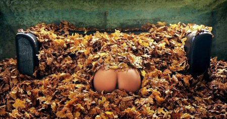 Осенняя фотосессия в стиле ню