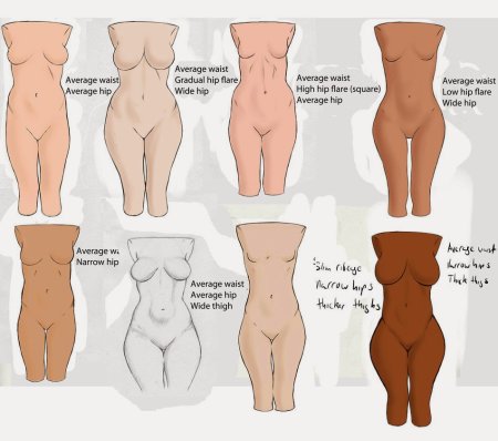 Типы женских фигур голые