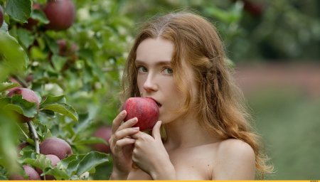 Грудь яблоко