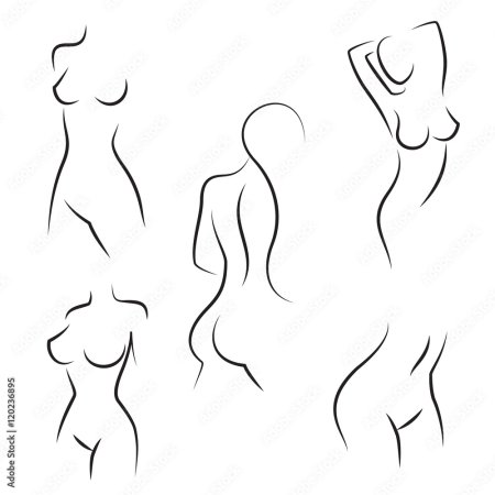 Силуэт женской груди