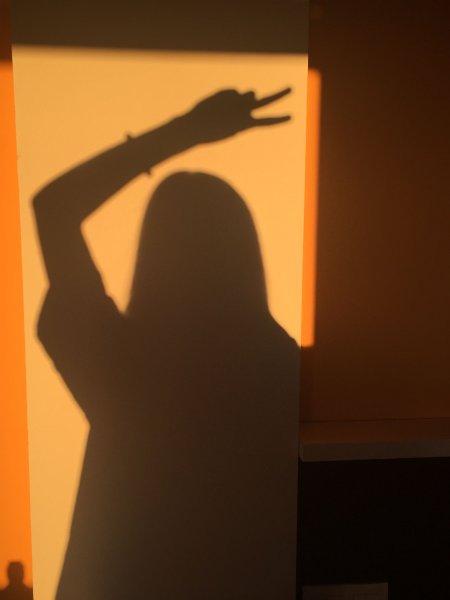 Красивая тень девушки на стене