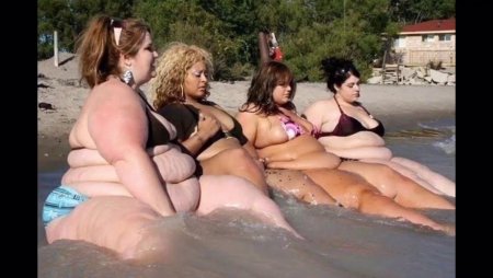 Толстые на пляже