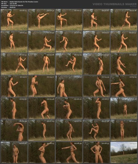 Pornoprivate Karate Lesson APK