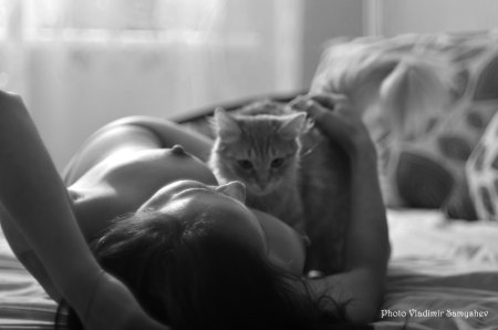 Эротическая поза кошки