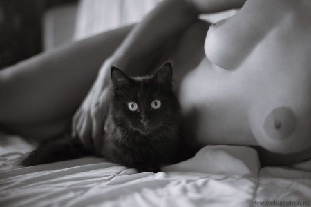 А кошка девочка голая грудь