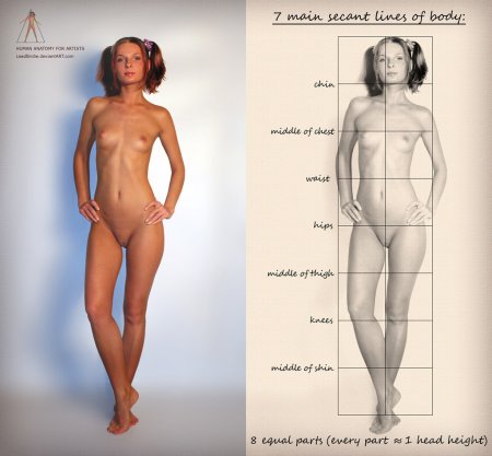 Голое женское тело анатомия