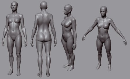 Тела женщины ню анатомия