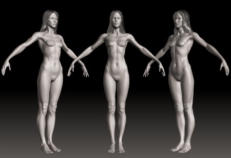 Голая женская анатомия