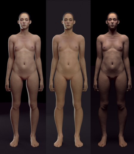 Модель большая анатомия голая