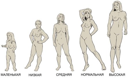 Разновидности голых женских фигур