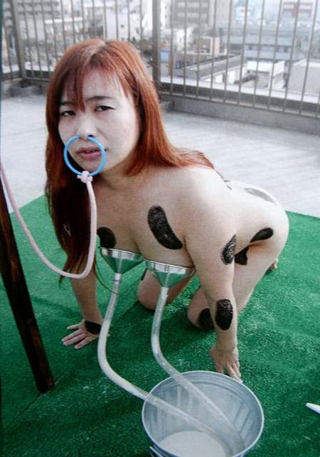 Бдсм доение в костюме коровы