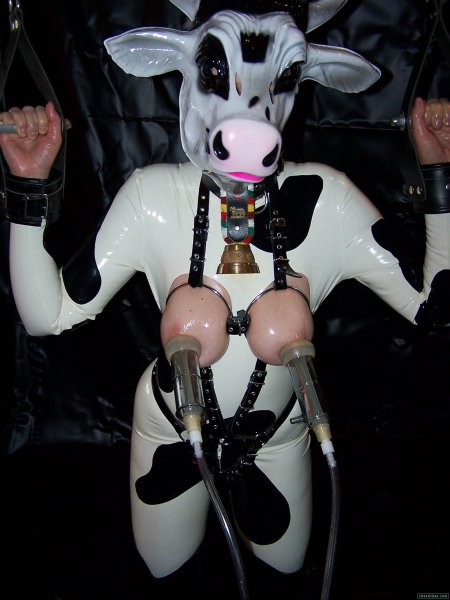 Девушки в костюмах животных бдсм