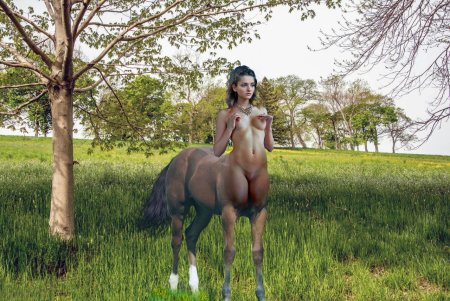 Женщина Кентавр с голыми сиськами