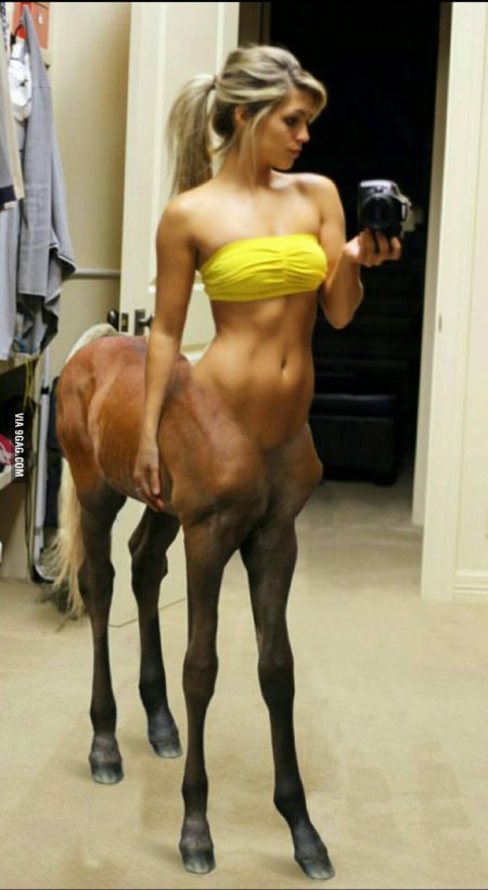 Кентавр девушка красивая