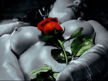 Красивый эротичный цветок