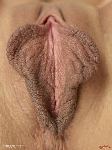 Киска с большими половыми губами