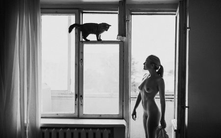 Девушка с котиком ню арт