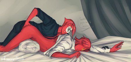 Кантрихьюманс рейхсов