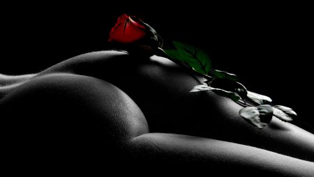 Эротические фотообои на рабочий стол