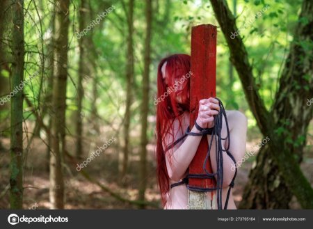 Девушка привязана к дереву