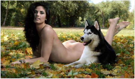 Красивые собаки с девушками ню